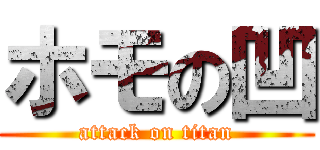 ホモの凹 (attack on titan)