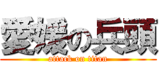愛媛の兵頭 (attack on titan)