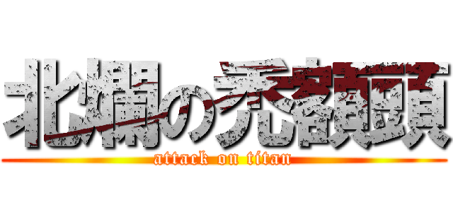 北爛の禿額頭 (attack on titan)