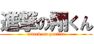 進撃の翔くん (attack on gorilla)