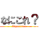 なにこれ？ (Afganistan)