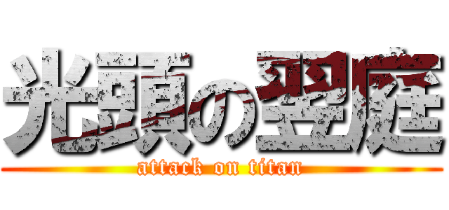 光頭の翌庭 (attack on titan)