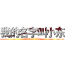 我的名字叫小东 (attack on titan)