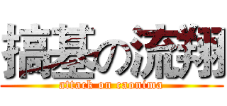 搞基の流翔 (attack on caonima)