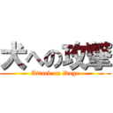 犬への攻撃 (Attack on Doge)