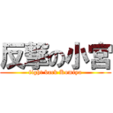 反撃の小宮 (fight back Komiya)