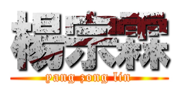楊宗霖 (yang zong lin)
