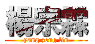 楊宗霖 (yang zong lin)