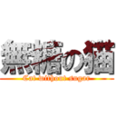 無糖の猫 (Cat without sugar)