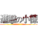 進擊の小棟 (不要迷戀哥，哥只是個傳說)