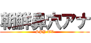 朝鮮鼻穴アナ (SPY TV)