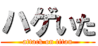 ハゲいた (attack on titan)