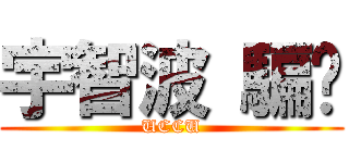 宇智波 騙你 (UCCU)