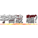 宇智波 騙你 (UCCU)