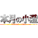 本月の小澄 (Elswork online)