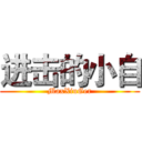 进击的小自 (MaxXiuGer)