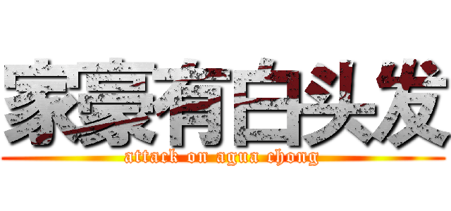 家豪有白头发 (attack on agua chong)