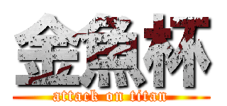 金魚杯 (attack on titan)