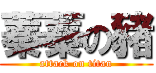 蓁蓁の豬 (attack on titan)