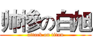 帅惨の白旭 (attack on titan)