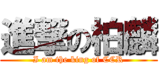 進撃の柏麟 (I am the king of CCR)