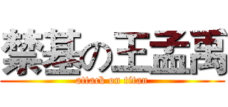禁基の王孟禹 (attack on titan)