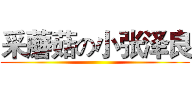 采蘑菇の小张泽良 ()