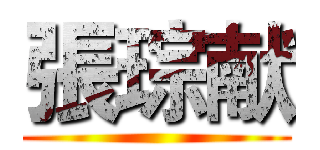 張琮献 ()