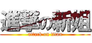 進撃の新姐 (attack on titan)
