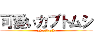 可愛いカブトムシ (cutie Beatle)