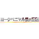 ヨークベニマル泉が丘店 (attack on titan)