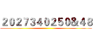 ２０２７３４０２５０＆４８ ()