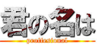 君の名は (proffesional)