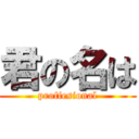 君の名は (proffesional)