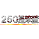 ２５０是笨蛋 ()