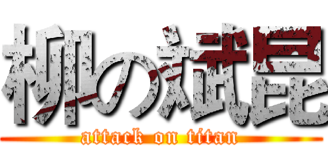 柳の斌昆 (attack on titan)