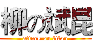 柳の斌昆 (attack on titan)