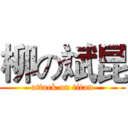 柳の斌昆 (attack on titan)