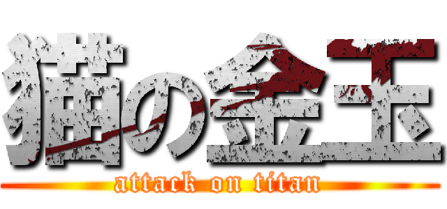 猫の金玉 (attack on titan)