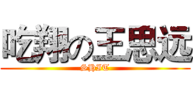吃翔の王思远 (SHIT)