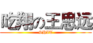 吃翔の王思远 (SHIT)