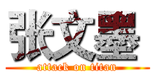 张文墨  (attack on titan)