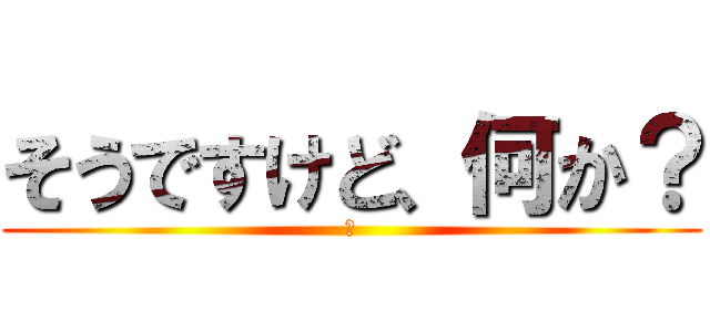 そうですけど、何か？ (?)