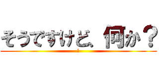 そうですけど、何か？ (?)