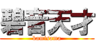 碧音天才 (kamisama)