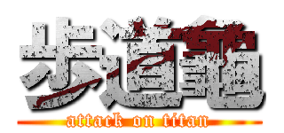 歩道龜 (attack on titan)