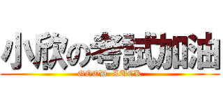 小欣の考試加油 (GOOD  LUCK)