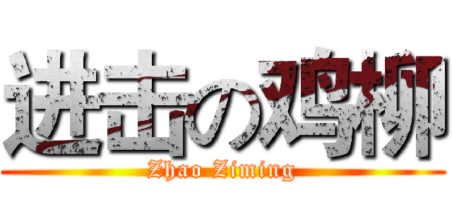 进击の鸡柳 (Zhao Ziming)