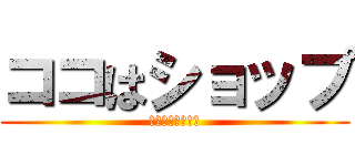 ココはショップ (～即日翌日発送～)