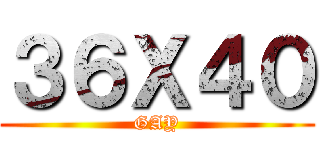 ３６Ｘ４０ (GAY)